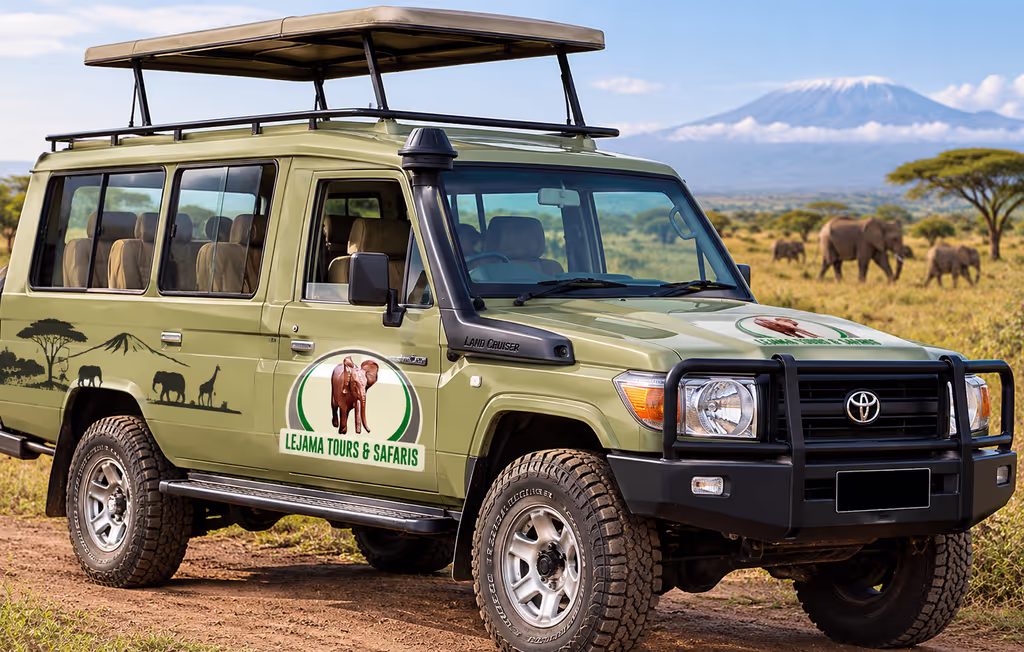 Nairobi Private Tour - 