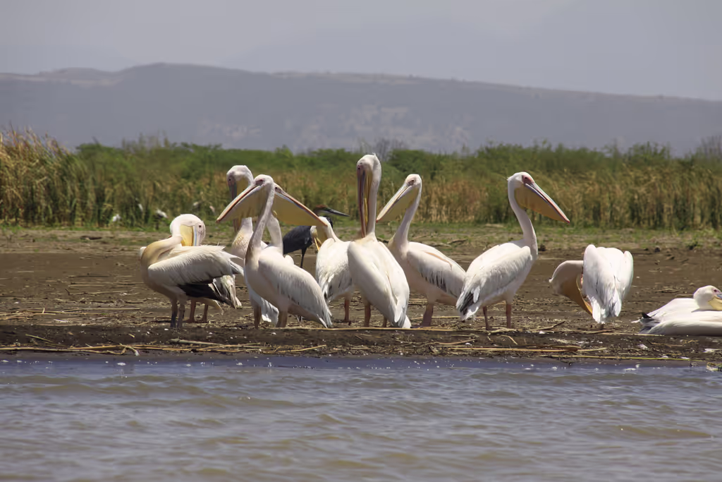 Nairobi Private Tour - 