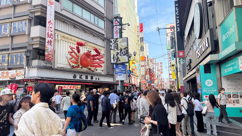 Osaka Private Tour - 