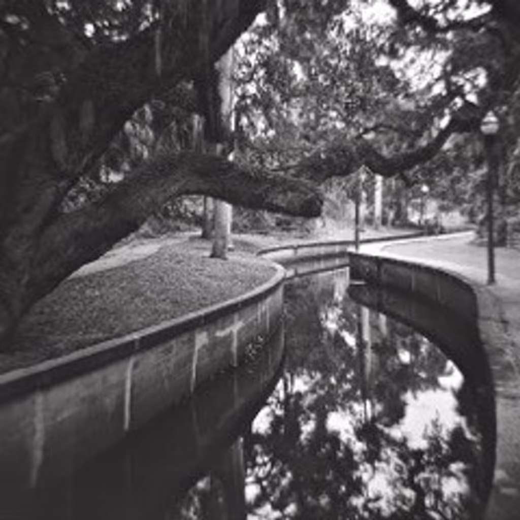 Tampa Bay Private Tour - Historic Roser Park