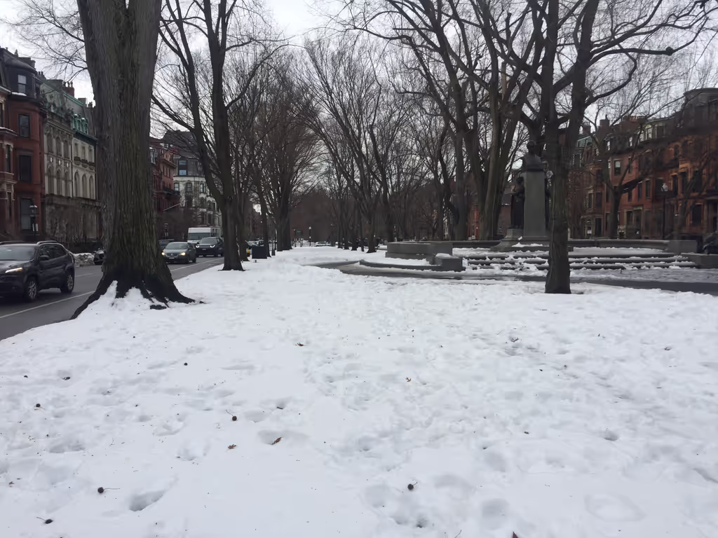 Boston Private Tour - Commonwealth Mall Elms