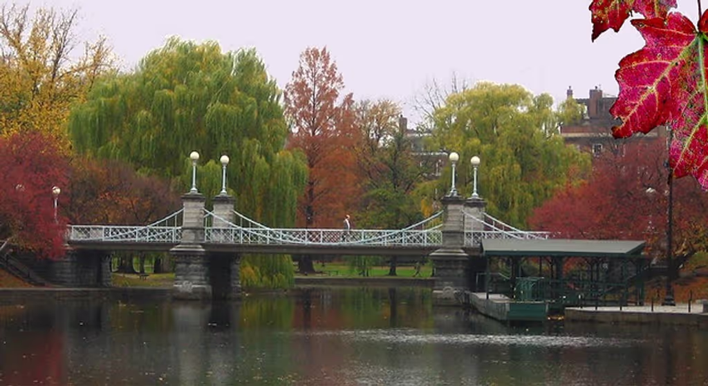 Boston Private Tour - Boston Public Garden