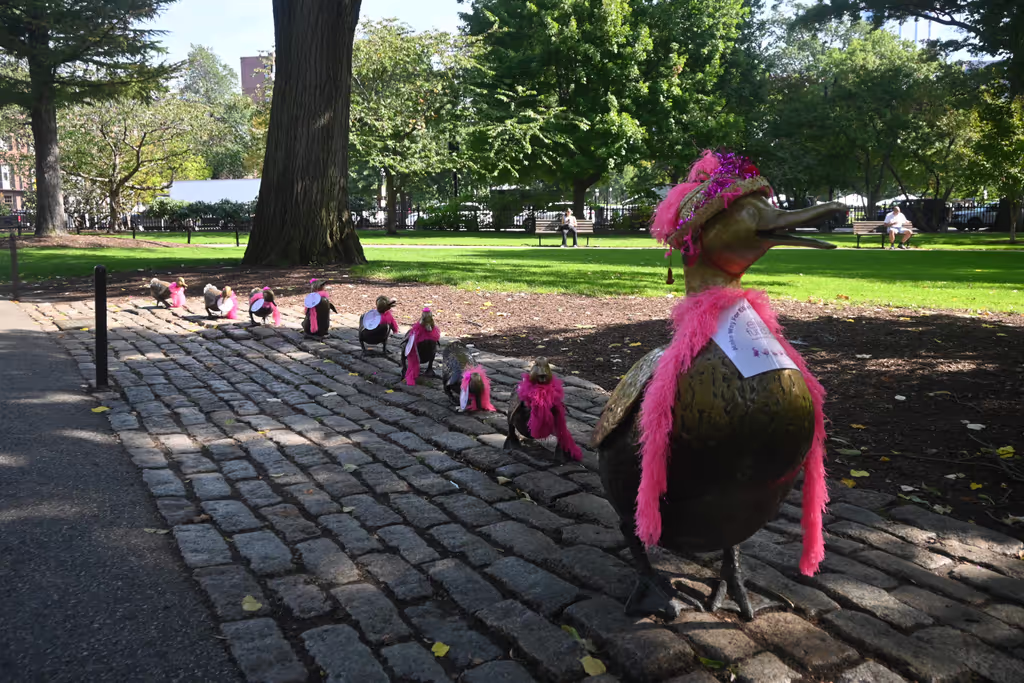 Boston Private Tour - Make Way for Ducklings