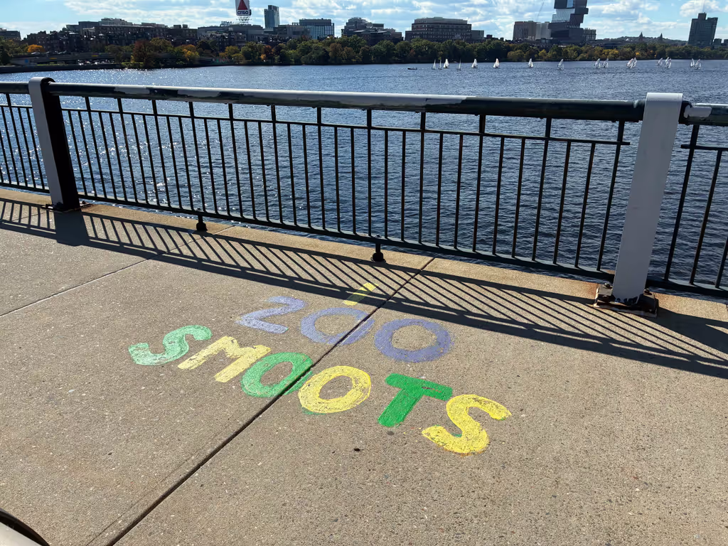Boston Private Tour - Mass Ave Bridge
