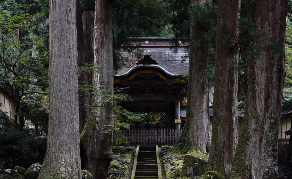 Fukui Private Tour - 