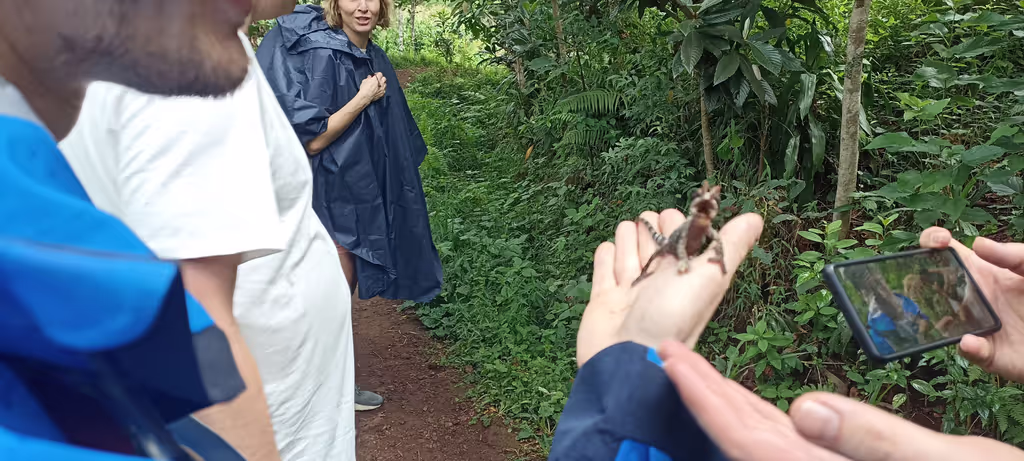 Moshi Private Tour - 