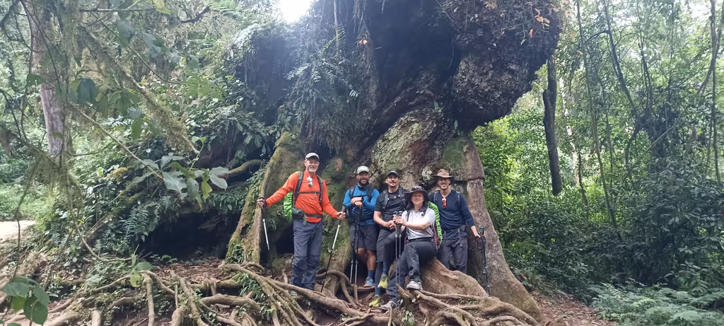 Moshi Private Tour - 