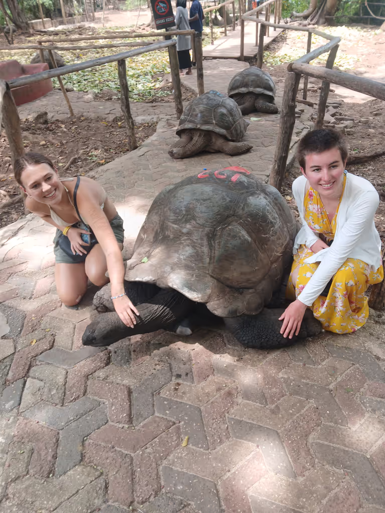 Zanzibar Private Tour - 