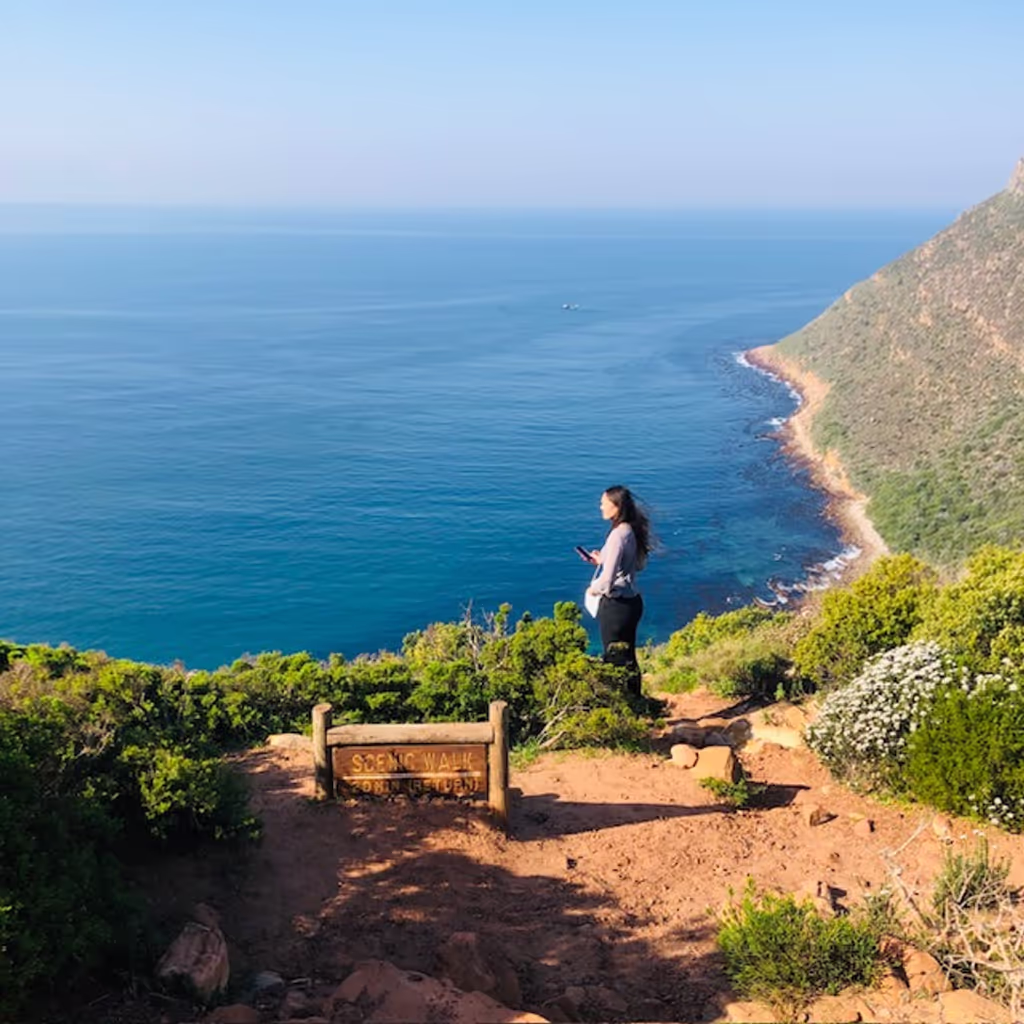 Cape Town Private Tour - 