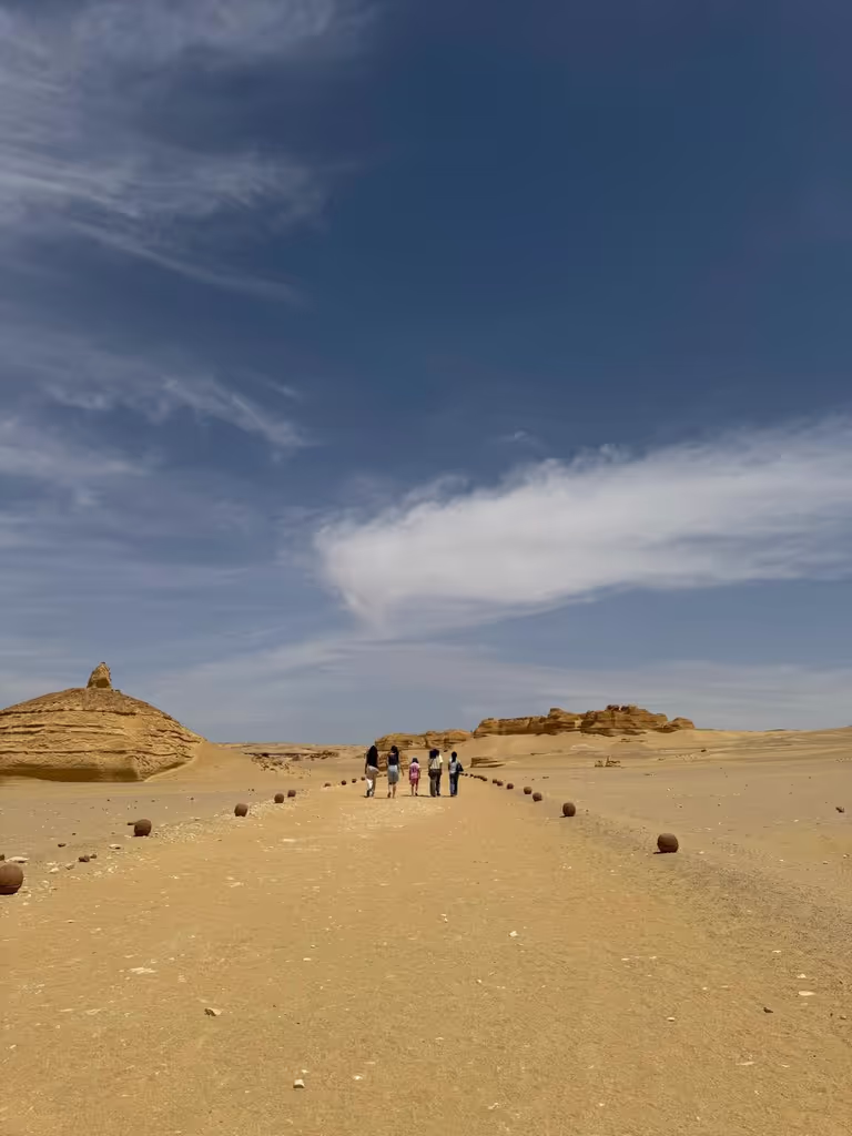 Al Fayyum Private Tour - 