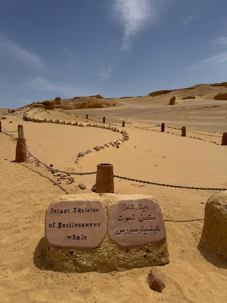 Al Fayyum Private Tour - 