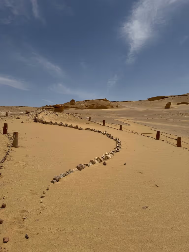 Al Fayyum Private Tour - 