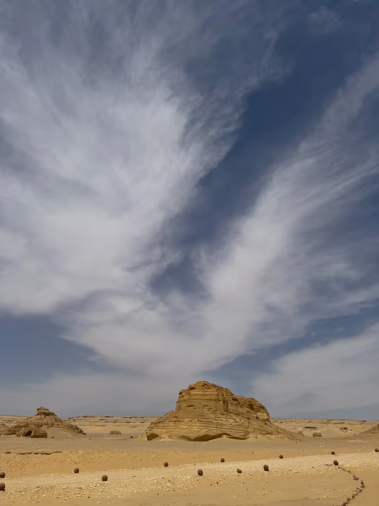 Al Fayyum Private Tour - 