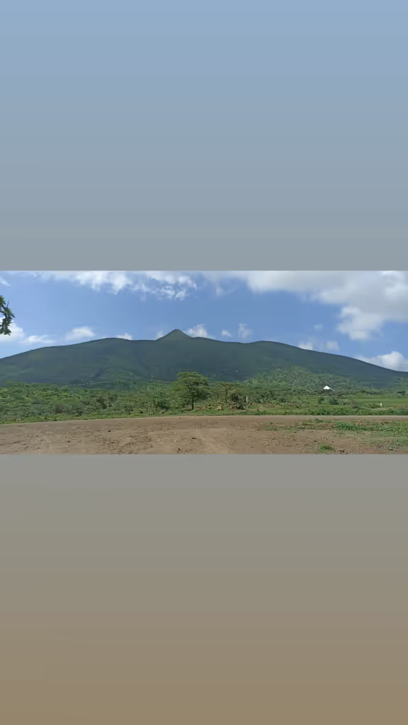 Arusha Private Tour - 