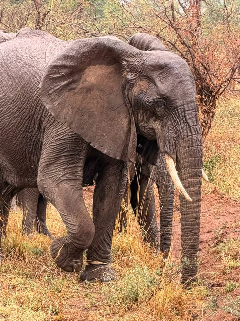 Arusha Private Tour - 