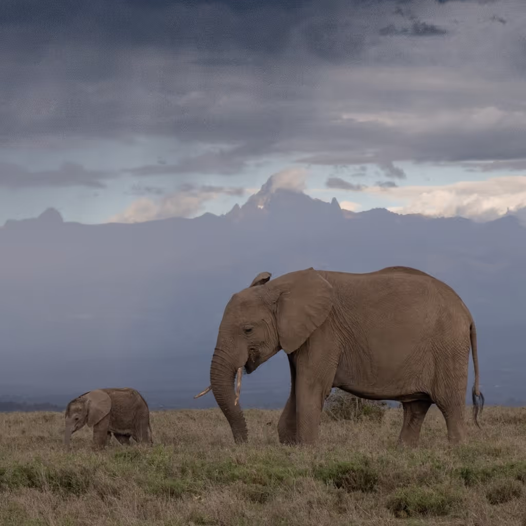 Arusha Private Tour - 