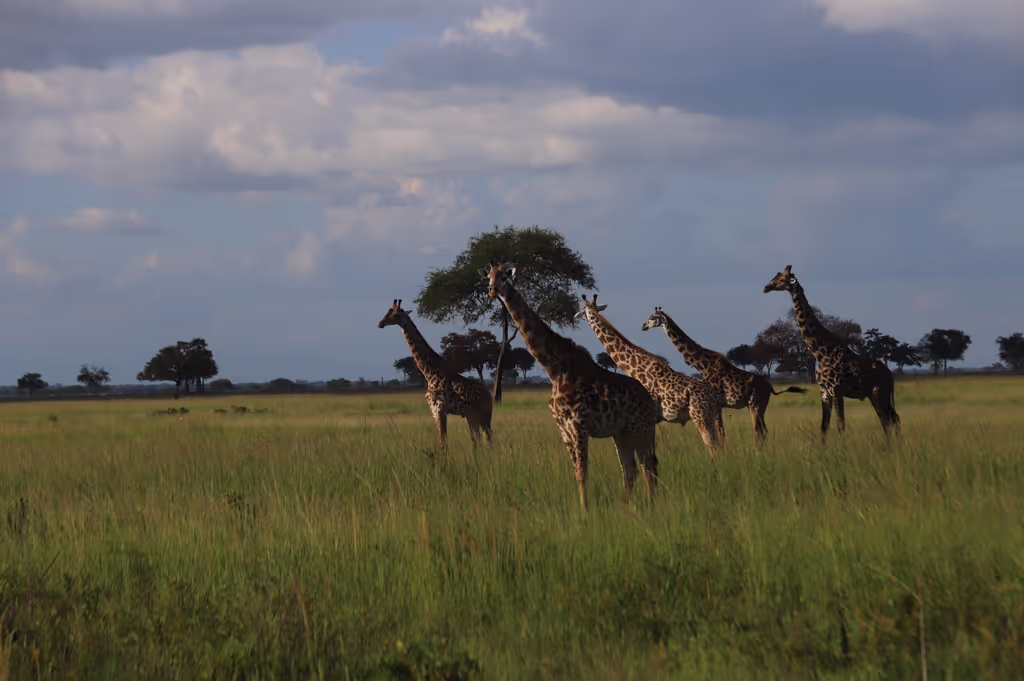 Arusha Private Tour - 