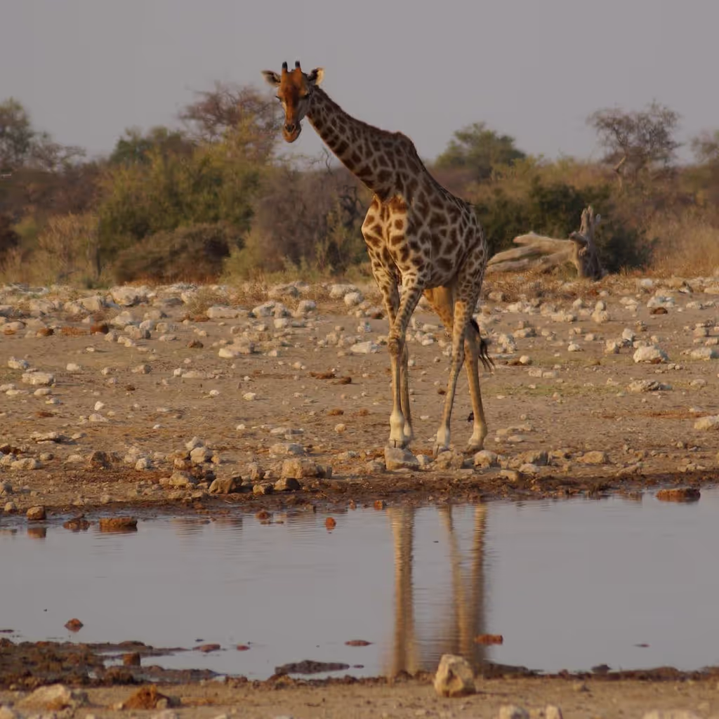 Arusha Private Tour - 