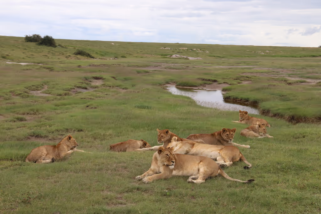 Arusha Private Tour - 
