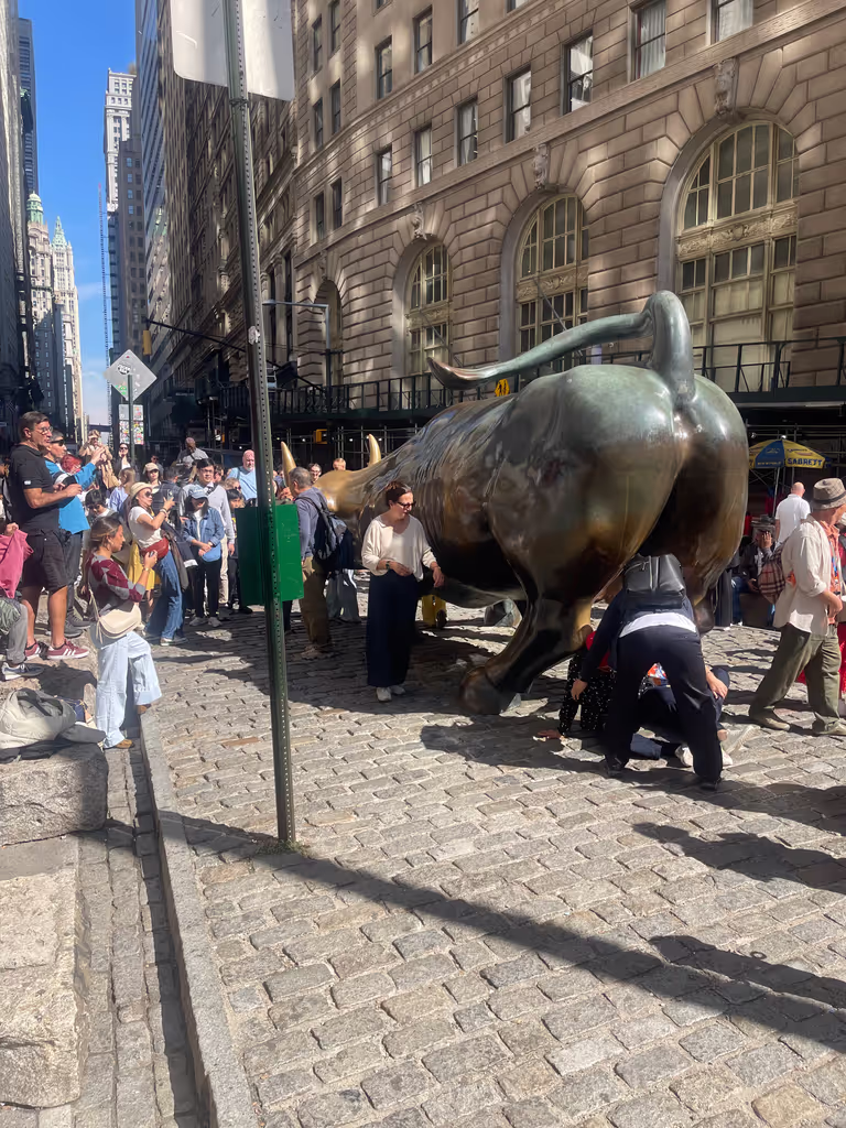New York Private Tour - The Wall Street Charging Bull
