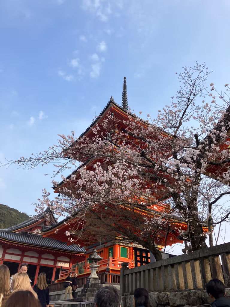 Kyoto Private Tour - Kiyomizu-dera Temple