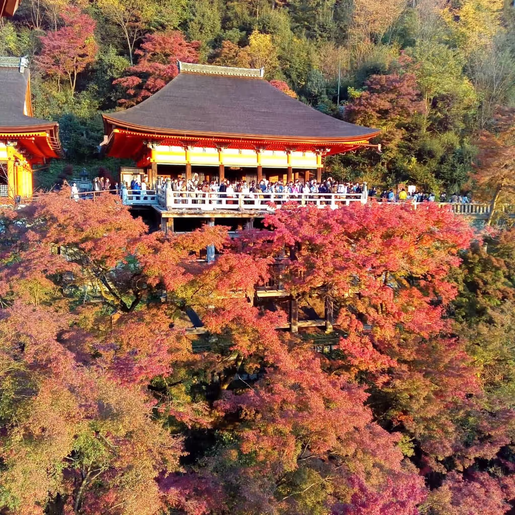 Kyoto Private Tour - Kiyomizu-dera Temple