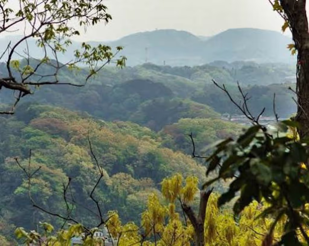 Kamakura Private Tour - 