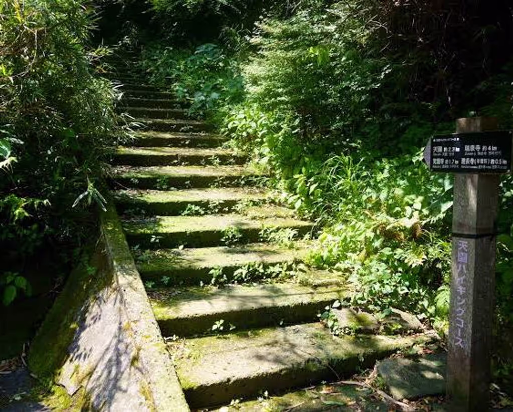 Kamakura Private Tour - 