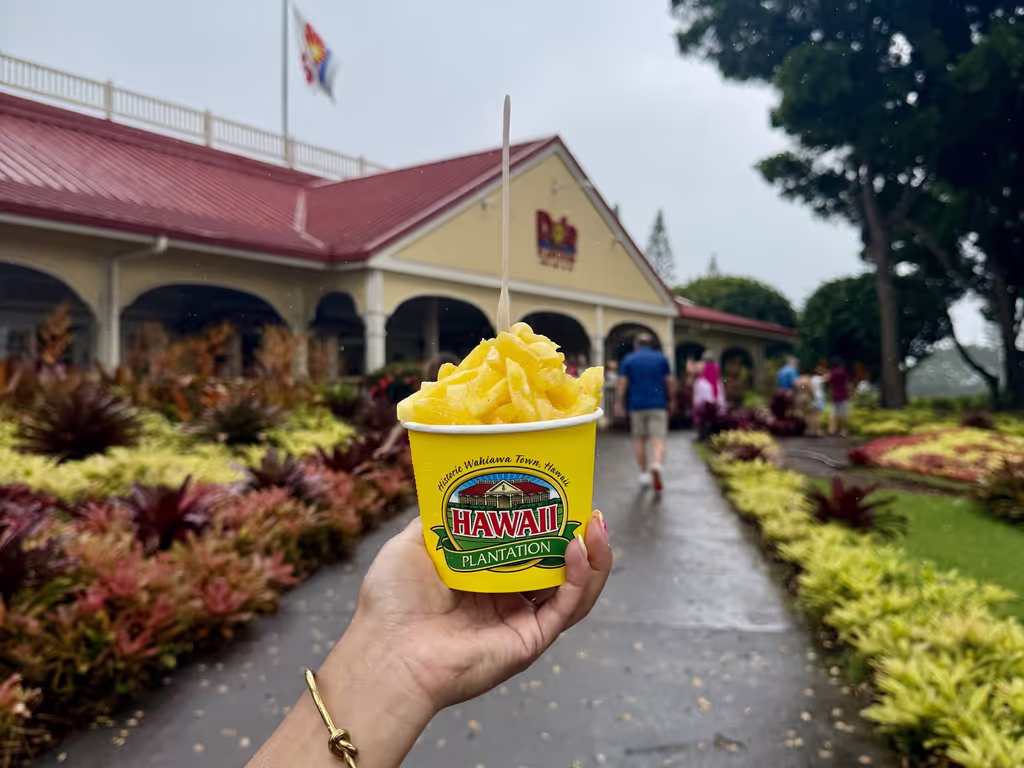 Hawaii (Oahu) Private Tour - Dole Plantation