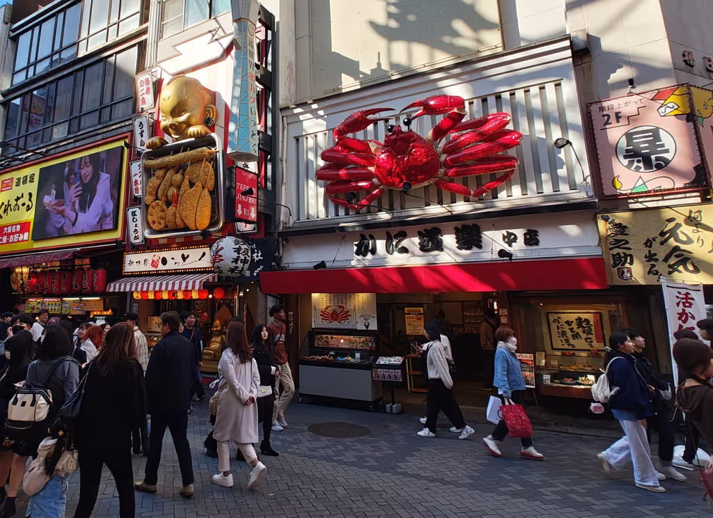 Osaka Private Tour - 