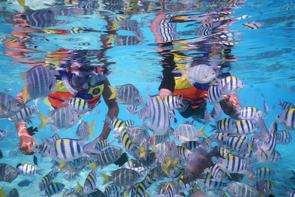 Zanzibar Private Tour - 
