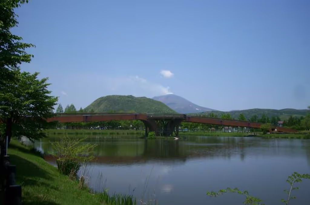 Nagano Private Tour - null