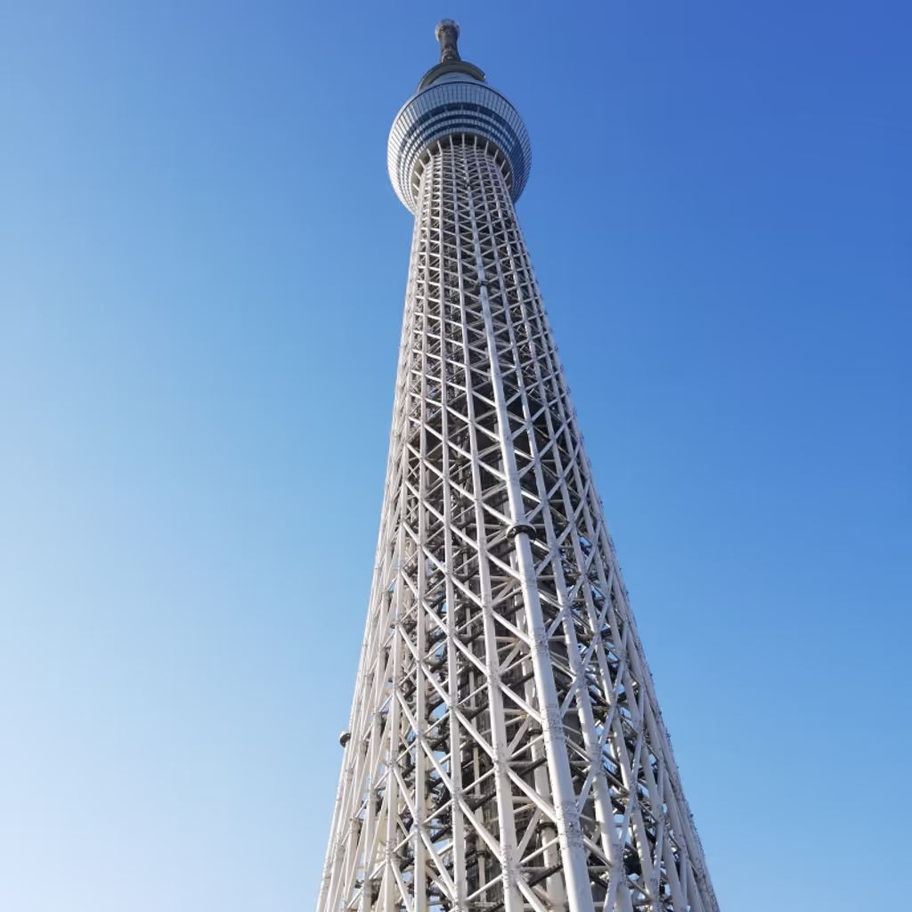 Tokyo Private Tour - Tokyo sky tree