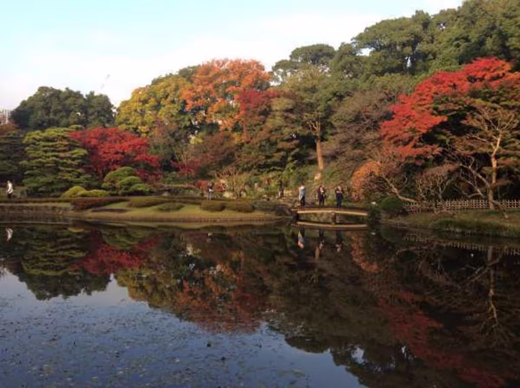 Tokyo Private Tour - 8. A Japanse garden called Ninomaru Teien which is a typical strolling type garden with a pond and trails.