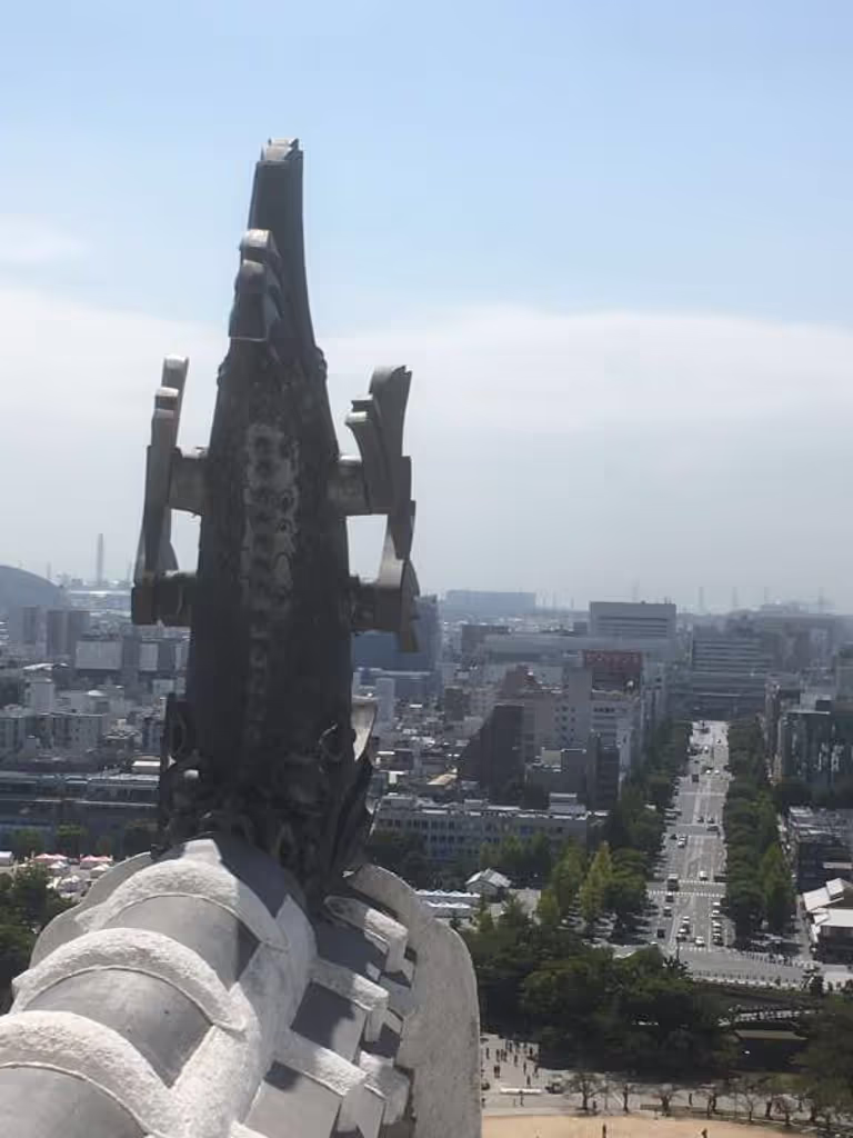 Himeji Private Tour - View from the Main Keep.