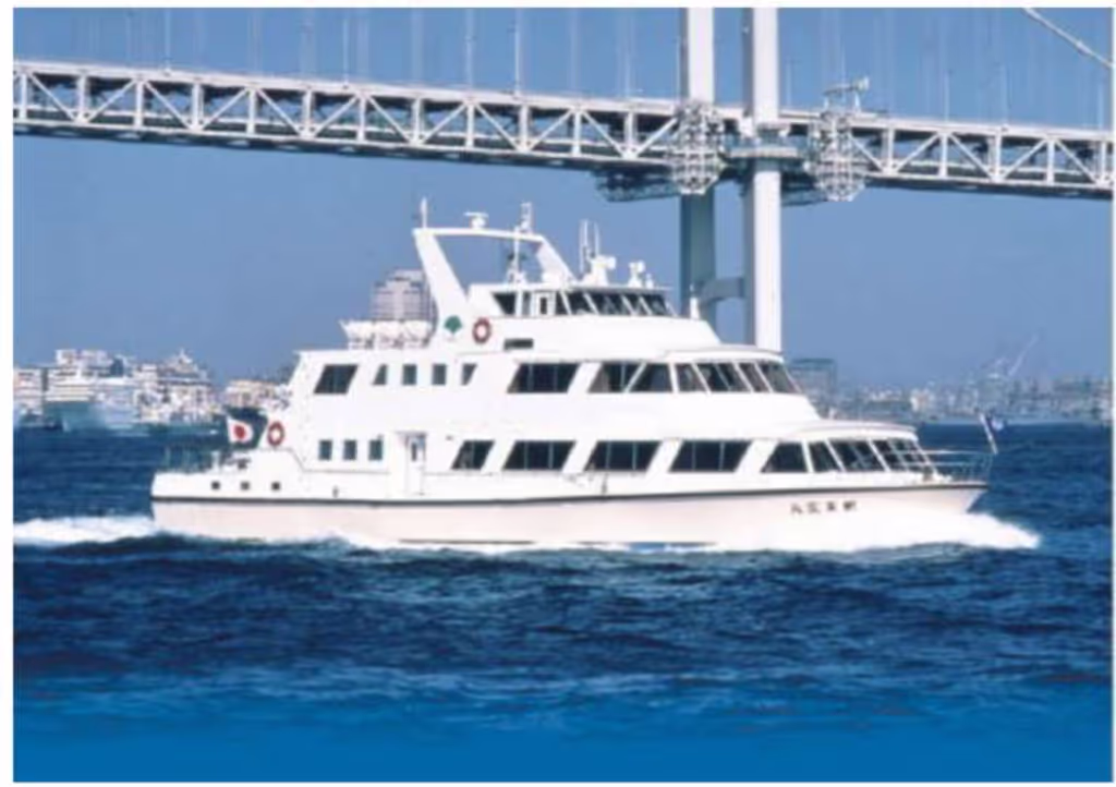 Tokyo Private Tour - New Tokyo Ship public accesses wide area of Tokyo bay.