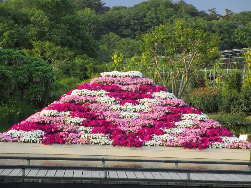 Tokyo Private Tour - May 16, 2019