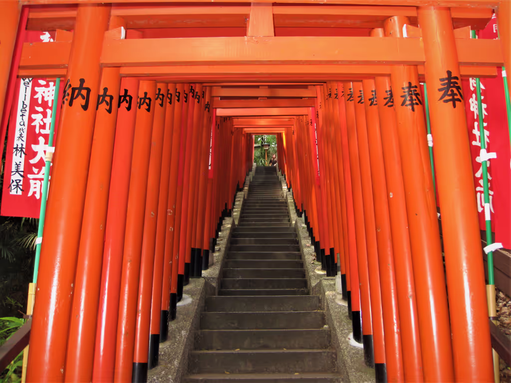 Tokyo Private Tour - Red Torii Gates Tunnel in Hie shrine
