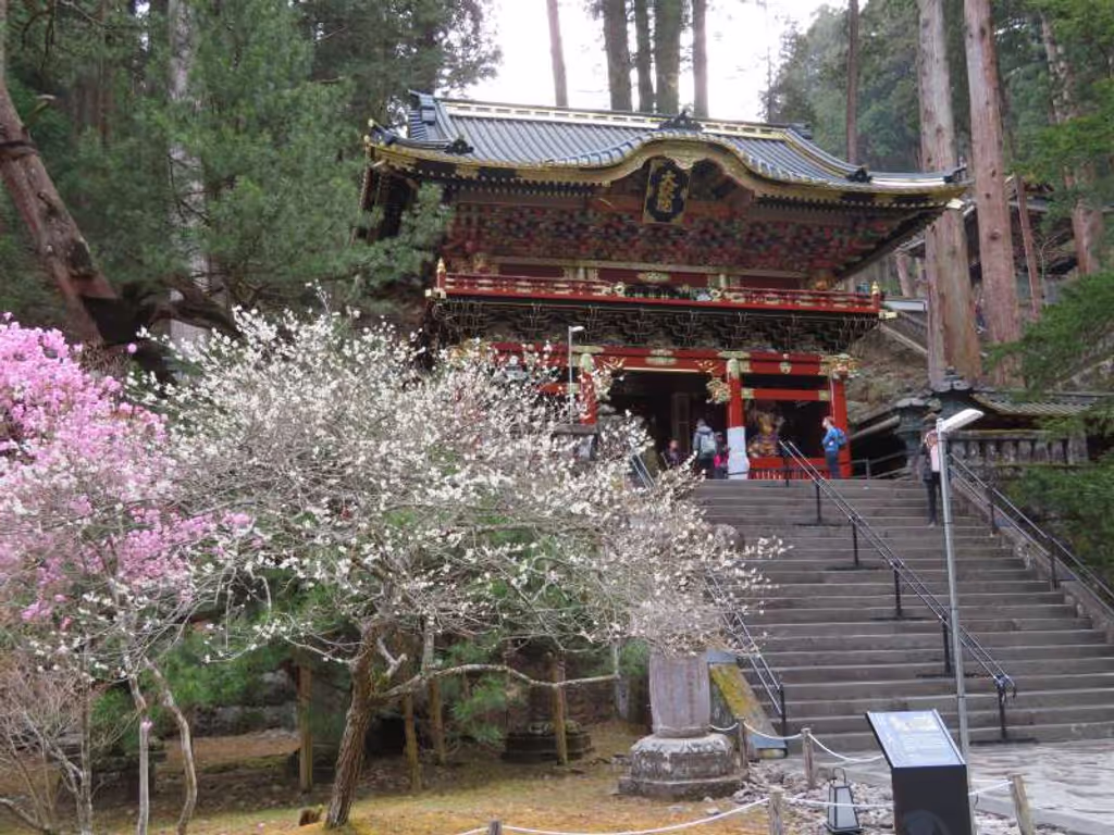 Tokyo Private Tour - Taiyu-in