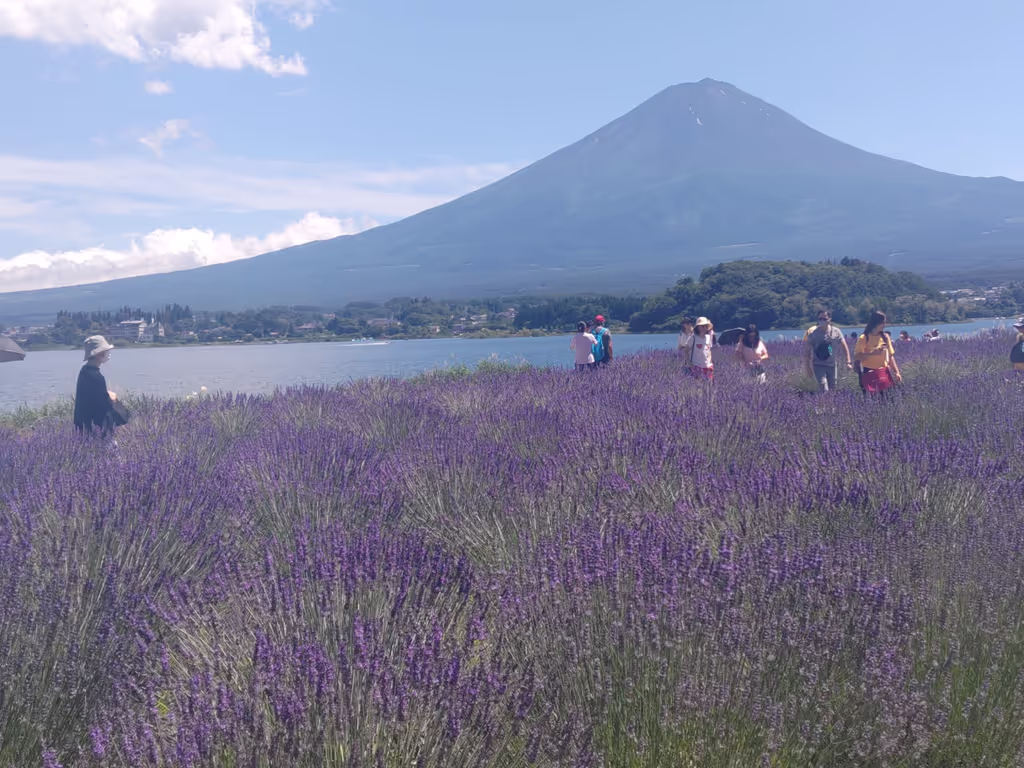 Mount Fuji Private Tour - Mt.Fuji from Lake Kawaguchi