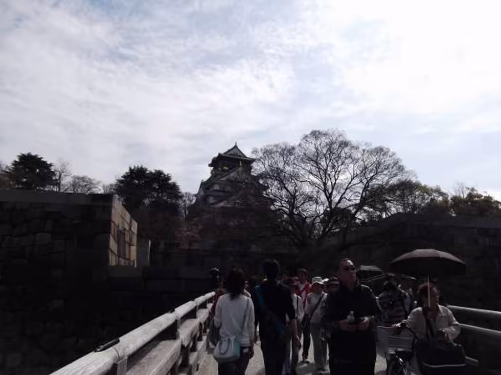 Osaka Private Tour - Distant view of the castle.