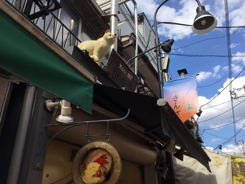 Tokyo Private Tour - Shitamachi is famous for having many cats running, sleeping and playing on the streets.