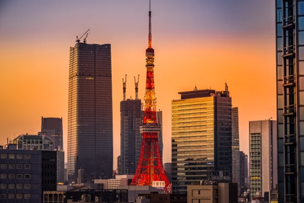 Tokyo Private Tour - null