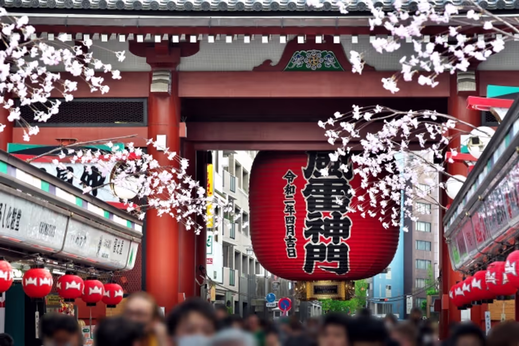 Tokyo Private Tour - null
