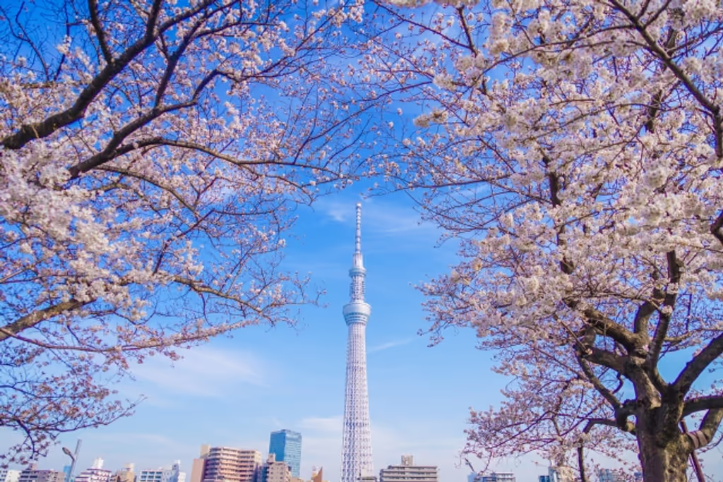 Tokyo Private Tour - null