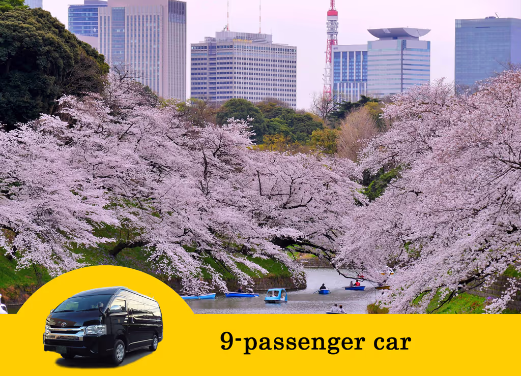Tokyo Private Tour - Chidorigafuchi Moat