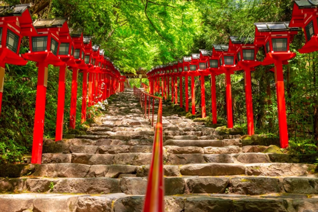 Kyoto Private Tour - null