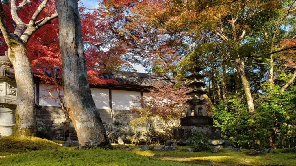 Kyoto Private Tour - null