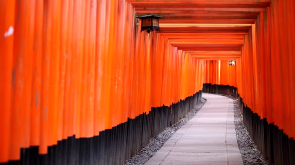 Kyoto Private Tour - null