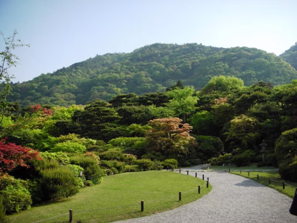 Kyoto Private Tour - null